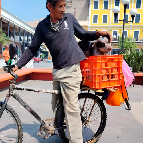 Ernesto y Pirata: Lealtad sobre ruedas