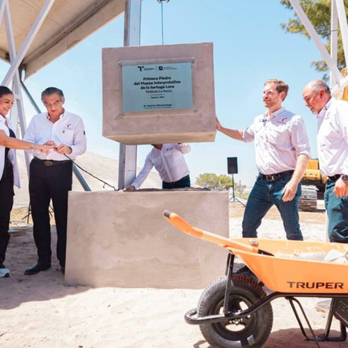 ¡La tortuga lora tendrá su propio museo en Tamaulipas!