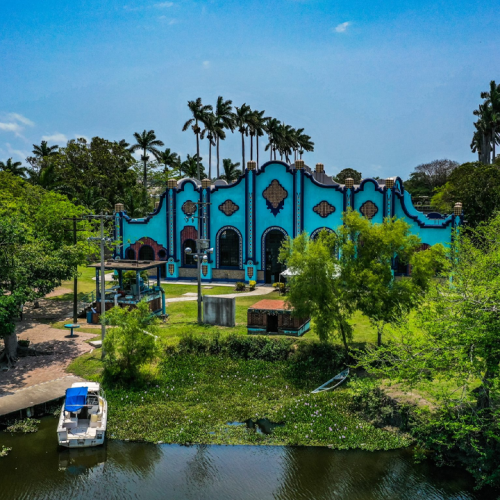 Tamaulipas quiere volar alto en el Global Big Day 2025