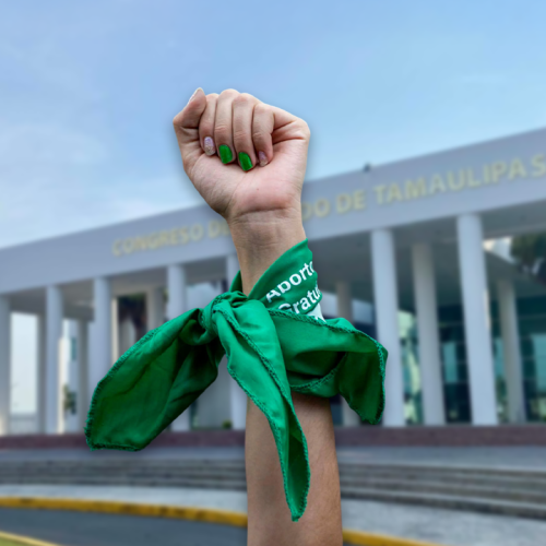 ¿Aborto o seguridad para mujeres?