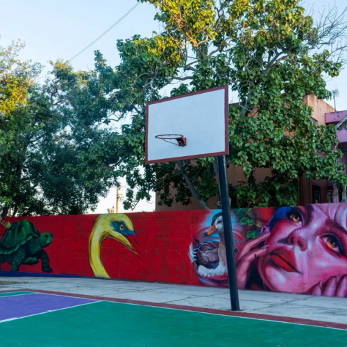 Ecos del Manglar: artistas transforman el paisaje urbano