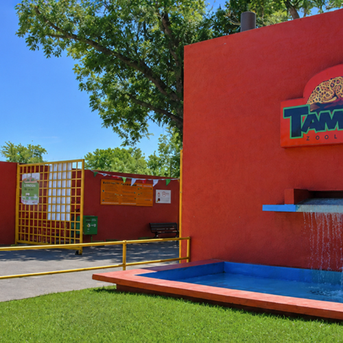 ¿Ya conoces el Zoológico de Tamatán?