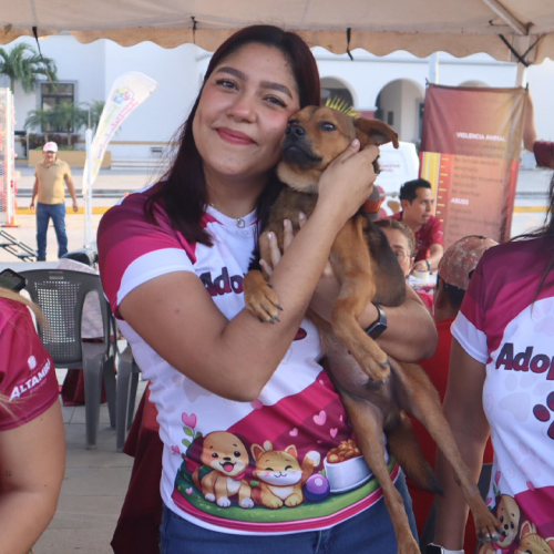 Lomitos y michis buscan hogar en Altamira