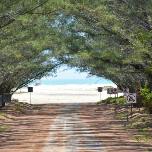 Arena, sol y transporte gratis: Altamira lanza ruta a Playa Tesoro